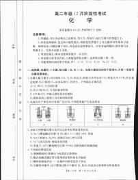 广西部分学校2024-2025学年高二上学期12月阶段性考试化学试卷