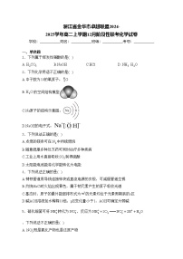 浙江省金华市卓越联盟2024-2025学年高二上学期12月阶段性联考化学试卷(含答案)