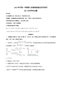 浙江省精诚联盟2024-2025学年高三上学期适应性联考化学试题