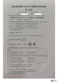 湖南省长沙市雅礼教育集团2024-2025学年高一上学期期末考试化学试题