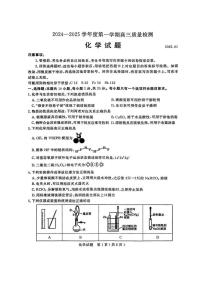 山东济宁市2024-2025学年度第一学期高三质量检测 化学试题及答案