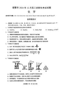 2025届诸暨市高三上学期12月化学试题