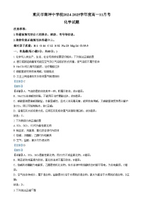 重庆市南坪中学2024-2025学年高一上学期11月月考化学试卷（Word版附解析）