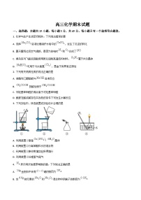 吉林省梅河口市第五中学2025届高三上学期期末考试化学试卷（Word版附答案）