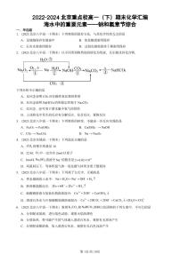2022-2024北京重点校高一（下）期末真题化学汇编：海水中的重要元素——钠和氯章节综合