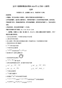 湖南省五市十校教研教改共同体2024-2025学年高一上学期12月联考化学试题（Word版附解析）