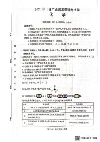 广西壮族自治区2024-2025学年高三上学期期末考试 化学试题（含答案）