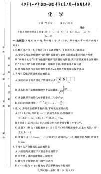 湖南长沙一中2024-2025学年高二上学期1月期末考试化学试题+答案