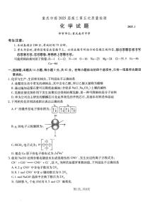重庆市南开中学高2025届高三上学期1月第五次质量检测化学+答案