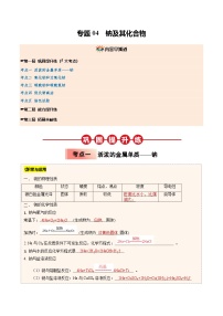 ③寒假提升练-专题04 钠及其化合物-2025年高一化学寒假衔接讲练 (人教版)