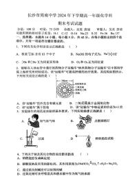 湖南省长沙市周南中学2024-2025学年高一上学期期末考试化学试卷