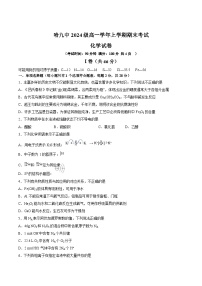 黑龙江省哈尔滨市第九中学2024-2025学年高一上学期期末考试化学试卷（Word版附答案）
