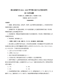 湖北省随州市2025届高三上学期1月期末联考化学试卷（Word版附解析）