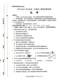 山东省淄博市2024-2025学年高三上学期期末摸底质量检测化学试卷（PDF版附答案）