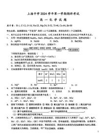 上海市上海中学2024-2025学年高一上学期期终考试化学试题