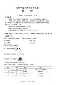 甘肃省武威市2025届高三上学期1月期末联考化学试题及答案