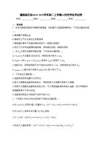湖南省市县2024-2025学年高二上学期12月月考化学试卷(含答案)