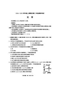 四川成都2024-2025学年高二上学期1月期末调研化学试题+答案