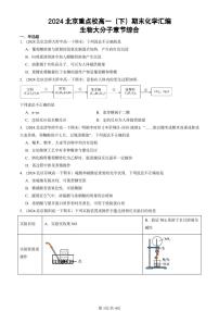 2024北京重点校高一（下）期末真题化学汇编：生物大分子章节综合