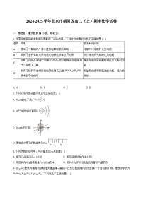 2024-2025学年北京市朝阳区高二（上）期末化学试卷（含解析）