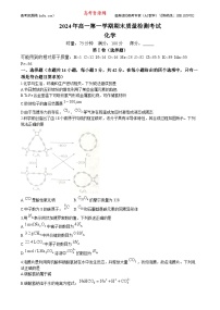 湖南省株洲市第二中学2024-2025学年高一上学期期末质量检测化学试卷（Word版附答案）
