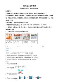 重庆市2024-2025学年高三上学期12月月考化学试卷（Word版附解析）