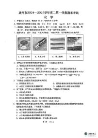 广东省惠州市2024-2025学年高二上学期期末考试化学试卷