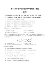 江苏泰州中学2025届高三高考一模考试试卷 化学试卷（含答案）