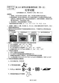 化学-重庆主城五区一诊暨九龙坡高2025届高三第一学期期末学业质量调研抽测试题