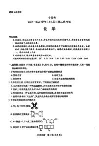 2025天一大联考高三天一小高考（二）化学试题及答案