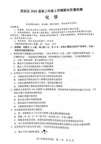 湖北省武汉市武昌区2025届高三年级上学期期末质量检测化学试题