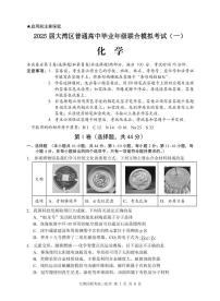2025广东省大湾区普通高中高三上学期联合模拟考试（一）化学PDF版含答案