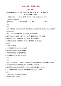 四川省泸州市泸县2023_2024学年高一化学上学期11月期中试题含解析