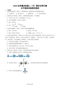 2024北京重点校高二（下）期末真题化学汇编：分子结构与物质的性质