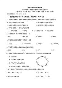 上海市同济大学第一附属中学2024-2025学年高二上学期期末考试 化学试卷