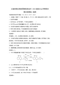 2024届云南省德宏傣族景颇族自治州高三上学期期末教学质量统一监测化学试卷（解析版）