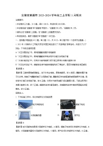 2023~2024学年安徽省芜湖市高二上学期1月期末化学试卷（解析版）