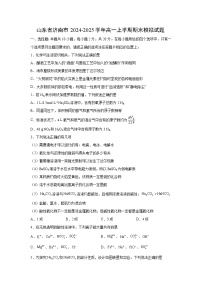 2024~2025学年山东省济南市高一上学期期末模拟考试化学试卷（解析版）
