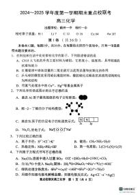 天津市五区县重点校2024-2025学年高三上学期1月期末化学试卷【含答案】