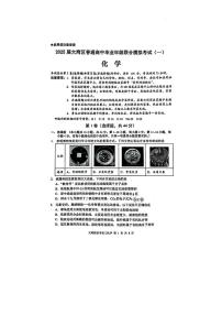 广东省大湾区2025届高三高考模拟第一次模拟-化学试卷+答案