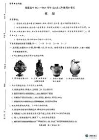 河南省周口市项城市2024-2025学年高三上学期1月期末考试+化学试题