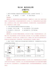 考点09 氯及其化合物（好题冲关）（含答案） 备战2024年高考化学一轮复习考点帮（全国通用） 学案