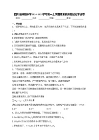 四川省绵阳中学2024-2025学年高一上学期期末模拟测试化学试卷(含答案)