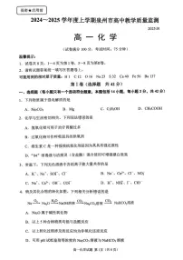 福建省泉州市2024-2025学年高一上学期期末化学试卷