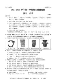 广东省深圳罗湖区2024-2025学年高三上学期期末质量检测化学试卷