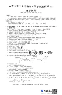 江西省吉安市2024-2025学年高三上学期期末教学质量检测 化学试题