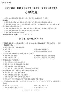 四川省遂宁市2024-2025学年高二上学期期末质量检测 化学试题