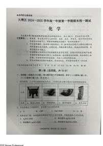 广东2024-2025年高一上学期大湾区期末考试化学试卷+答案