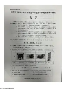 广东2024-2025年高一上学期大湾区期末考试化学试卷+答案