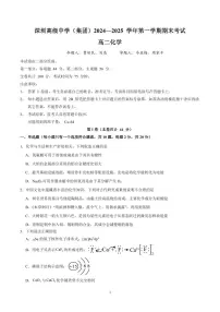 广东深圳高级中学2024-2025学年高二上学期期末考试化学试题+答案